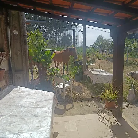 Quinta Real Kiwibee
