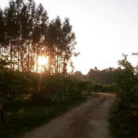 Quinta Real Kiwibee Casa de Campo